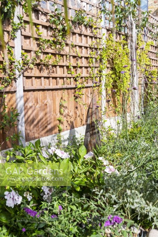 Statue made of wood and metal in border with Hydrangea, Verbena, Salvia yangii and Star jasmine