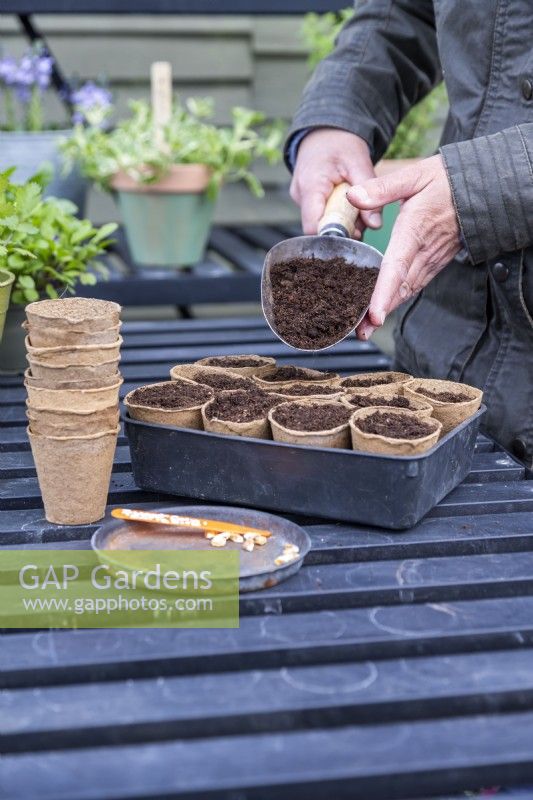 Woman using scoop to cover the seeds with a layer of compost