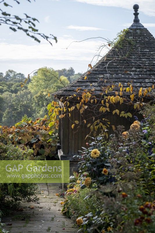 Paved path leading past tiled summerhouse with autumnal vine leaves climbing up to roof