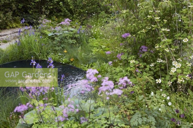 The Boodles British Craft Garden. Designer: Thomas Hoblyn. Chelsea Flower Show 2023. Woodland garden with pond and Thalictrum 'Black Stockings' and Iris. Summer.