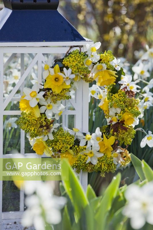Yellow white themed wreath made of daffodils and mahonia.