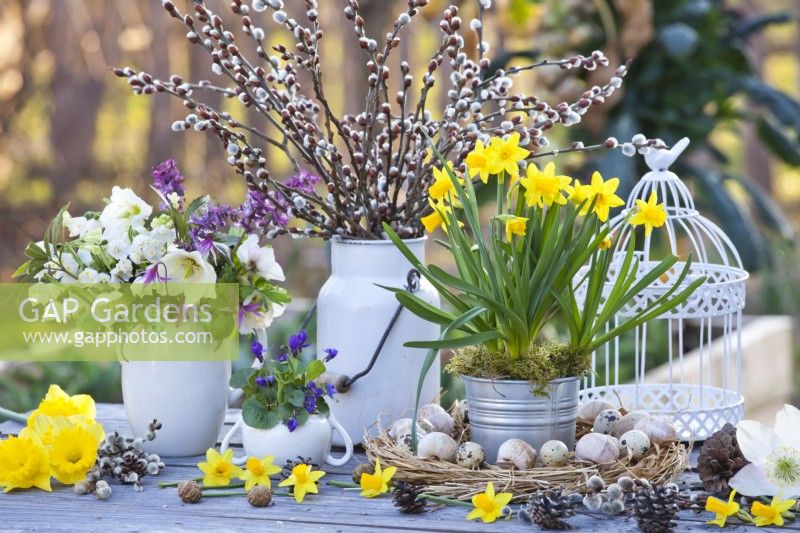 Early spring arrangement with Narcissus 'Tete a Tete' in metal container,  a bird cage, wreath with snail shells, pussy willow, viola and bouquet of spring flowers in a vase.