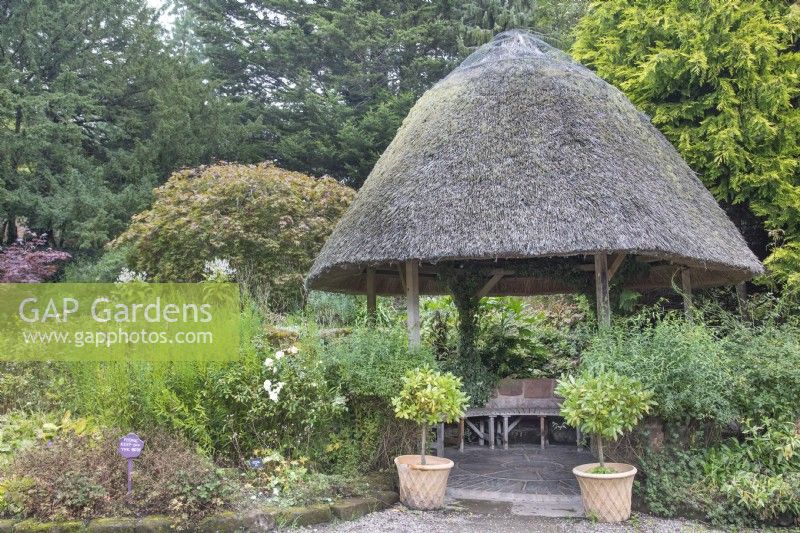 Thatched seating area in Ness Botanic Garden, Liverpool, September