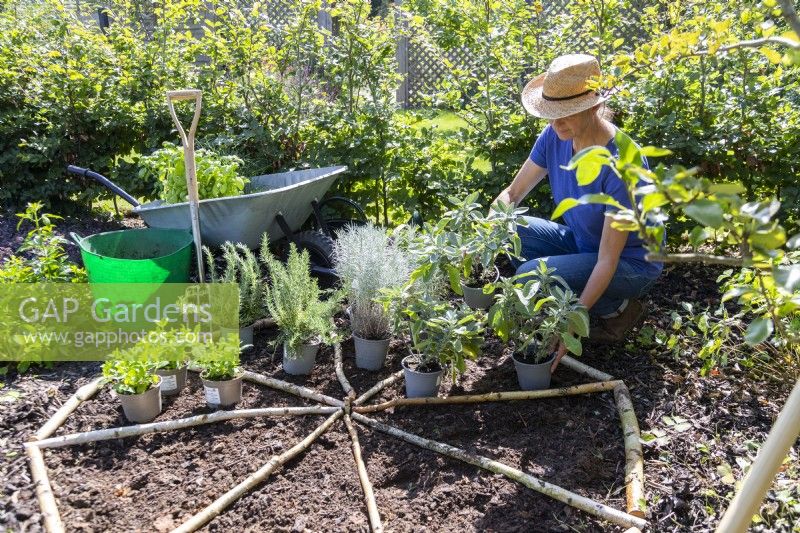 Woman laying out herbs in the different sections of the wheel