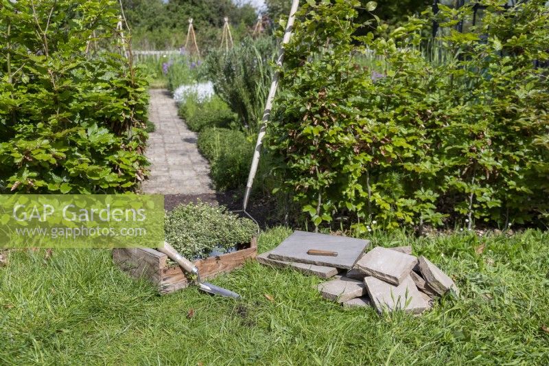 Thyme, stone pavers, trowel and a knife laid out in the ground