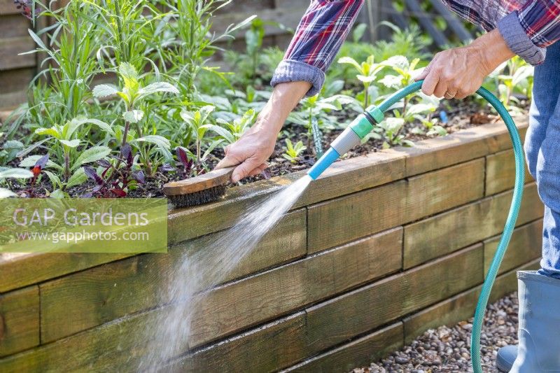 Woman cleaning raised bed with a hose and brush