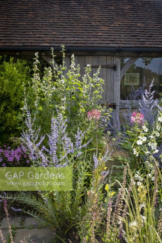 Small courtyard garden filled with late summer planting, with framed oak building behind.