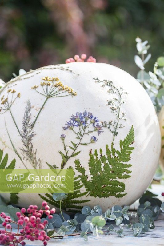 White pumpkins with pressed flowers and leaves on table with berries and eucalyptus sprigs