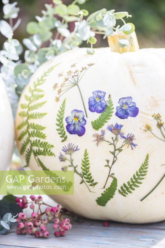 White pumpkins with pressed flowers and leaves on table with berries and eucalyptus sprigs