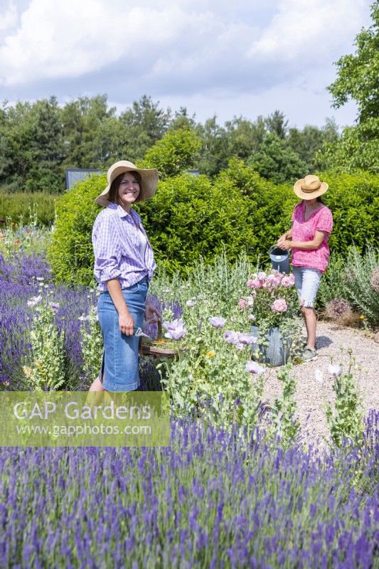 Woman carrying trug of dead headed flowers while another woman waters plants in the background