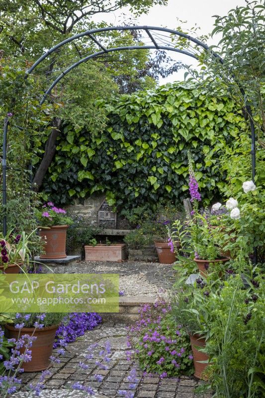 Self-seeded campanula and hardy geranium grow through steps that lead to the top gravelled terrace