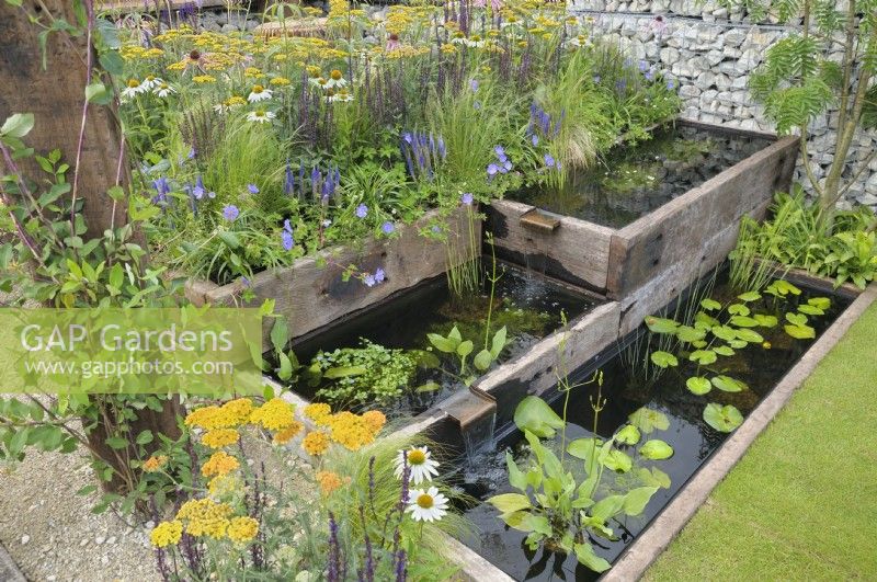 Urban garden with rectangular terraced ponds made from reclaimed materials linked with waterfall blades surrounded by wildlife-friendly perennials like Achillea, Echinacea, Salvia and Veronica.  Nuturing Nature in the City - RHS Hampton Court Palace Garden Festival 2023.  Designed by Caroline Clayton and Peter Clayton 