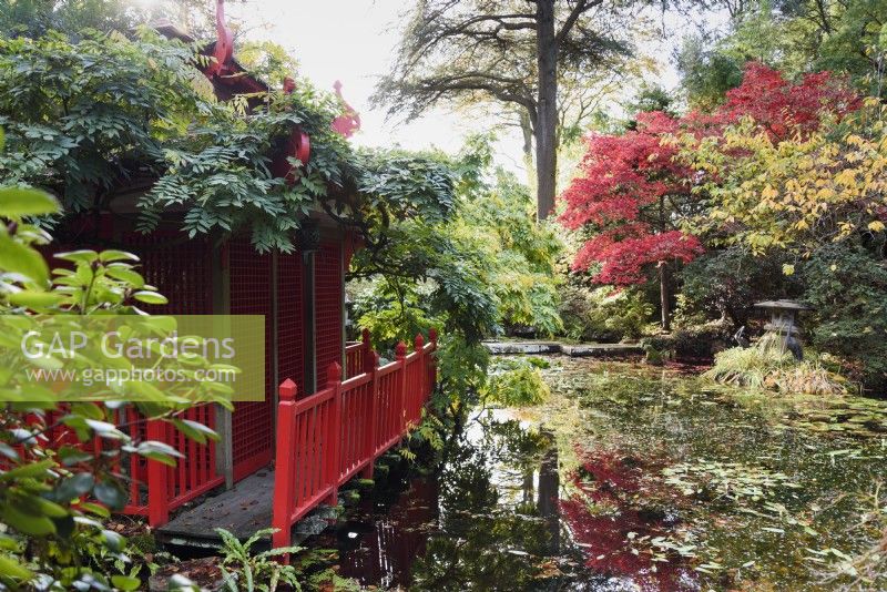 The Japanese Garden at Compton Acres, Dorset in November