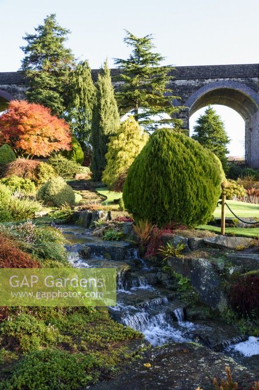 Stream running through a rock garden with conifers and maples at Kilver Court, Somerset in November