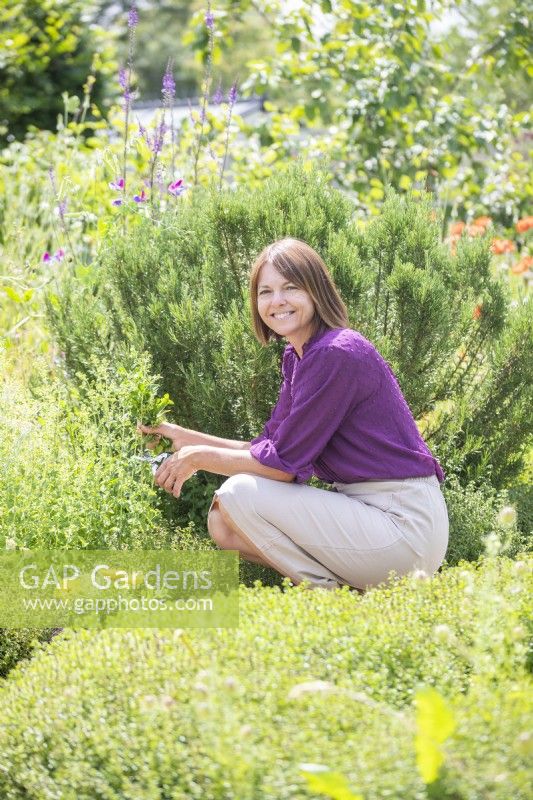 Woman picking Mint stems