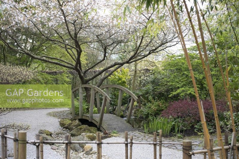 Japanese Garden at Barnsdale Gardens, April