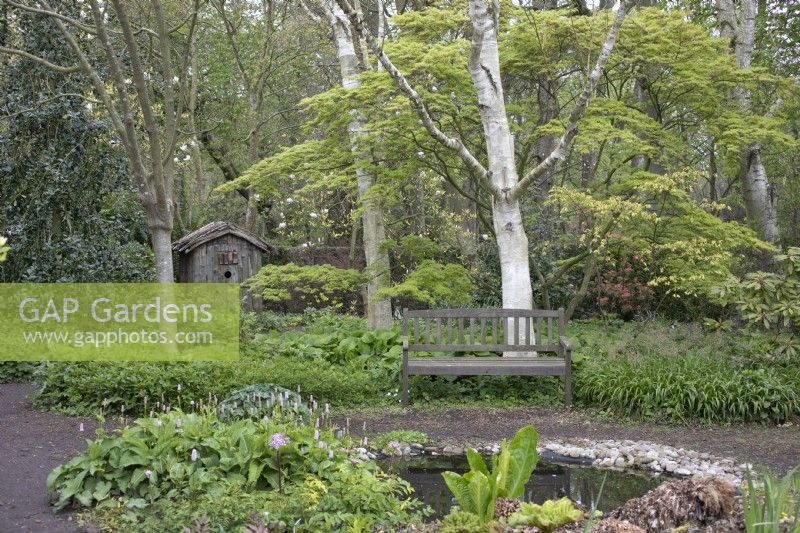 Woodland garden with pond at Barnsdale Gardens, April