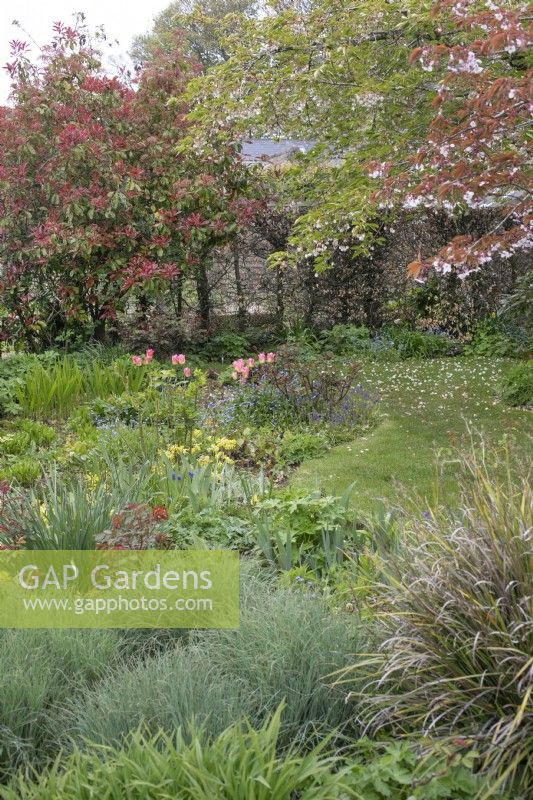 Mixed flowerbed at Barnsdale Gardens, April