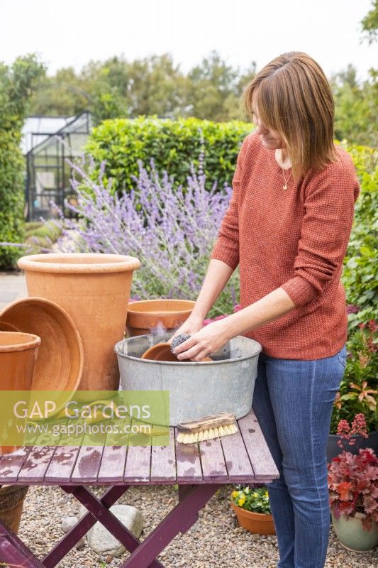 Woman cleaning terracotta pots with wire wool and soapy water