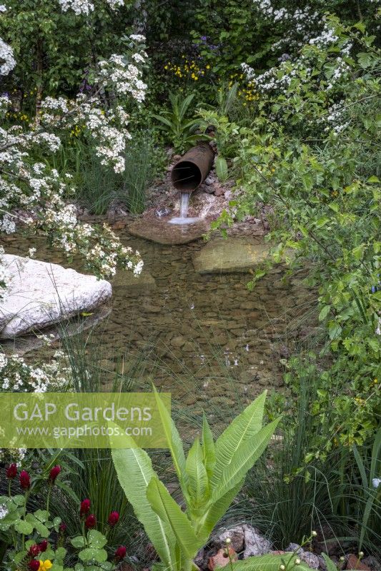 Natural planting around a wildlife pond fed by a metal pipe