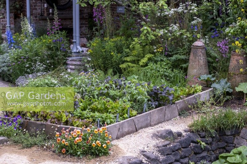 Vegetable garden with paving stones used as edging and gravel paths. Picking beds of salad leaves and Terracotta forcing pots behind
