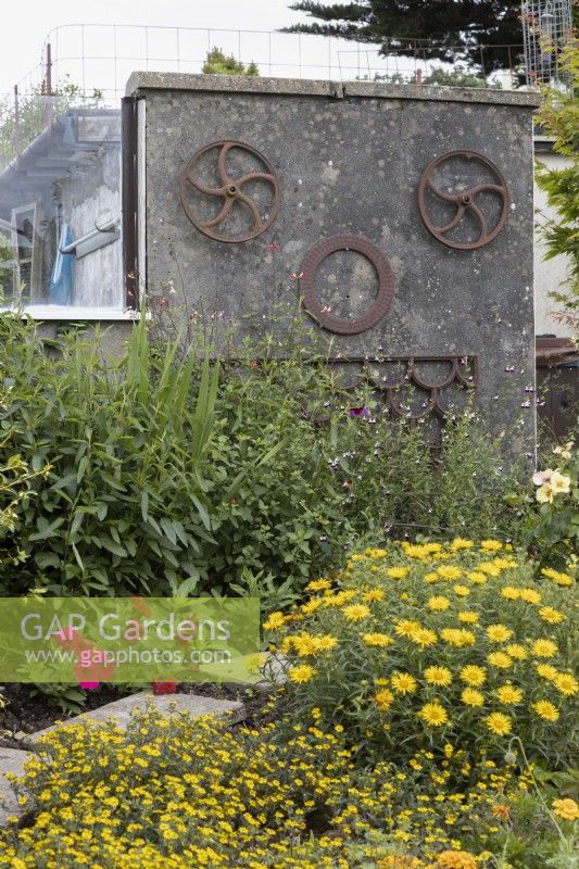 A concrete structure has a face mounted on it, made from recycled metal agricultural parts. A mix of yellow flowering plants is in the foreground with a paving slab path curving from left to right. Harbour Lights, Devon NGS garden. July. 