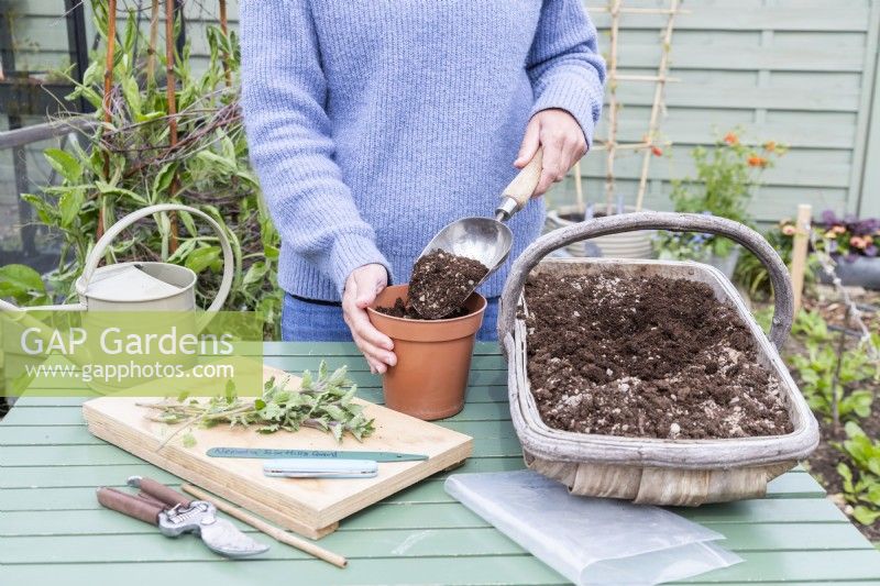 Woman filling pot with compost