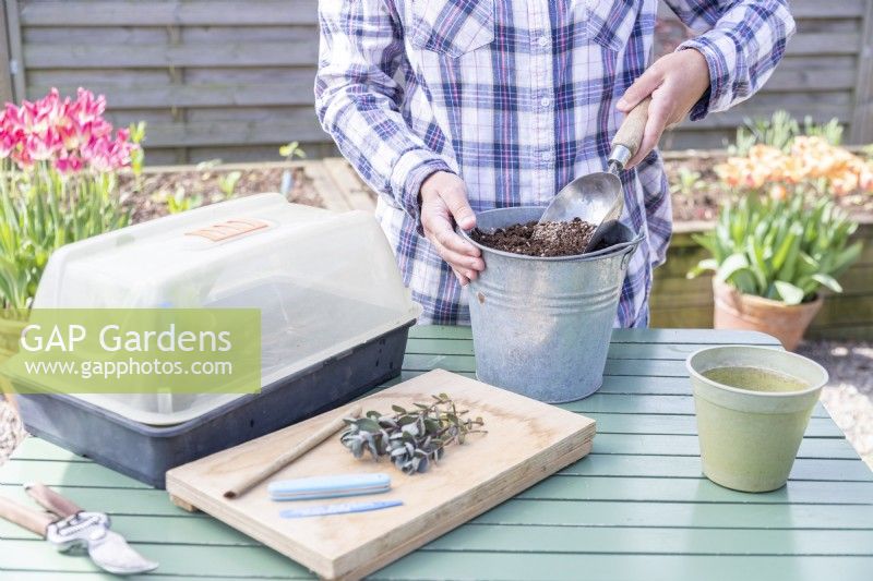 Woman mixing grit and compost in metal bucket