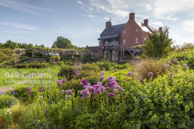 View over the gravel garden towards the farmhouse with Alliums and mixed planting flower beds with ornamental grasses