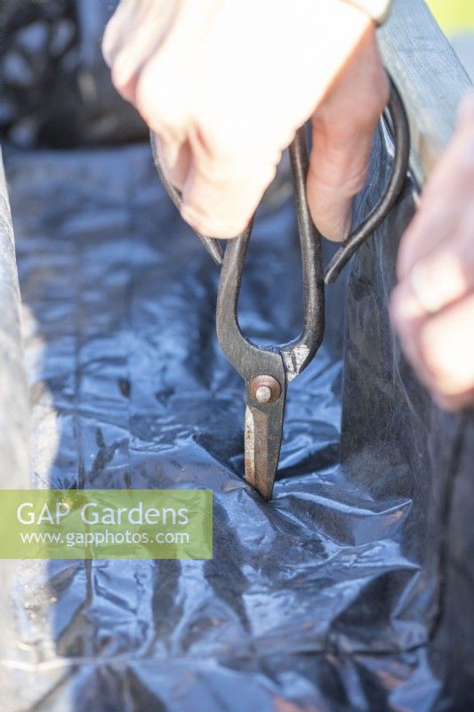 Woman using scissors to poke holes in the compost bag for drainage