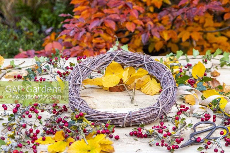 Twig wreath on table with Ivy, Beech sprigs and Hawthorn berries around