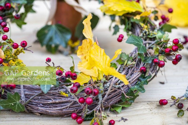 Wreath made up of twigs, Beech sprigs, Ivy and Hawthorn berries on wooden table