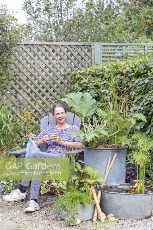 Woman sitting in garden chair behind galvanised metal containers planted with Acorus, Juncus, Gunnera, Rodgersia, Houttuynia, Isolepis, with metal basin pond planted with Cyperus and  Nymphaea with bamboo ladder and pebbles