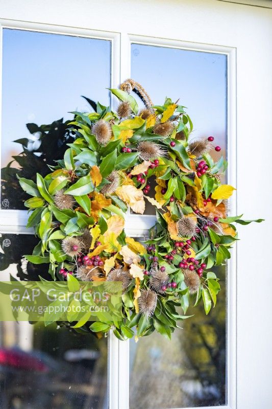 Wreath made up of Beech sprigs, Portuguese laurel sprigs, Teasel heads and Hawthorn twigs hanging on door