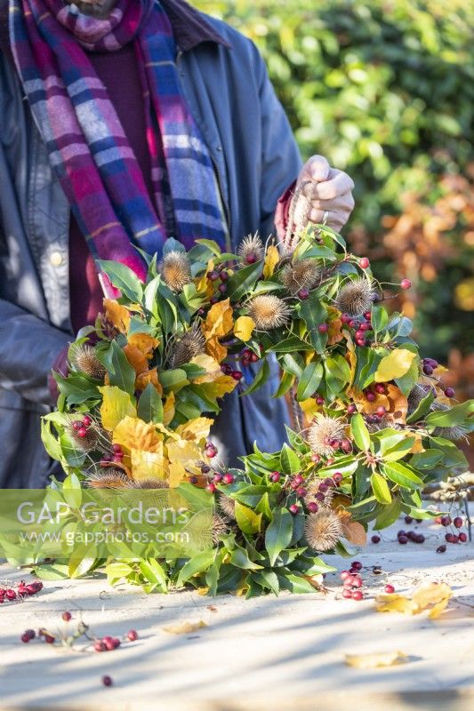 Woman holding up wreath made up of Beech sprigs, Portuguese laurel sprigs, Teasel heads and Hawthorn twigs