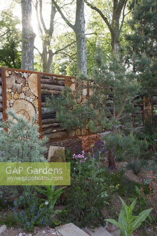 View of the boundary wall built with logs in The Royal Entomological Society Garden - Designer: Tom Massey -Sponsor: Project Giving Back -