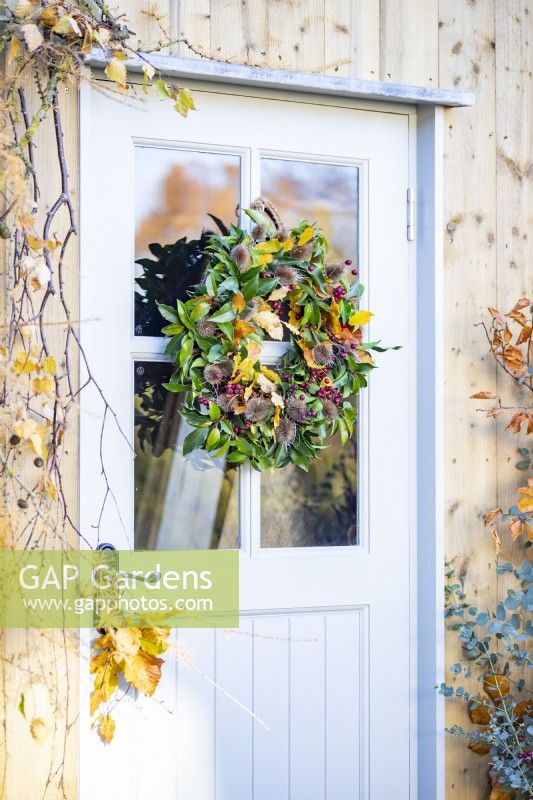 Wreath made up of Beech sprigs, Portuguese laurel sprigs, Teasel heads and Hawthorn twigs hanging on door