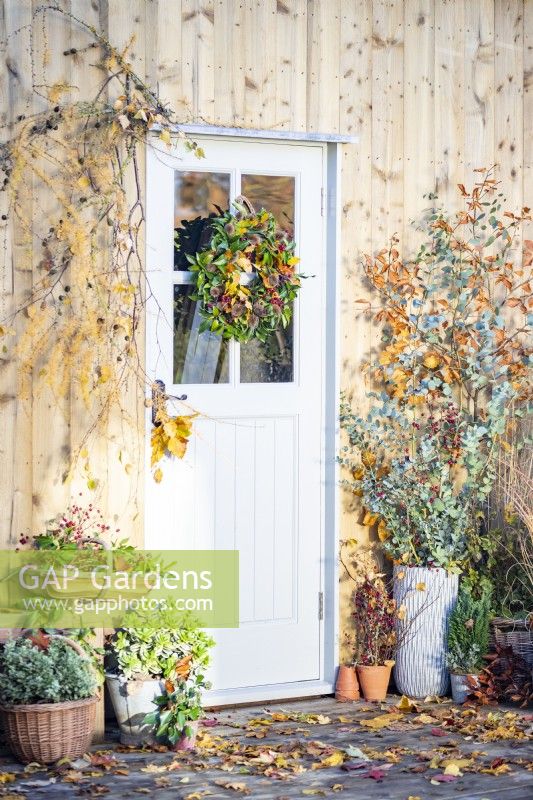 Wreath made up of Beech sprigs, Portuguese laurel sprigs, Teasel heads and Hawthorn twigs hanging on door