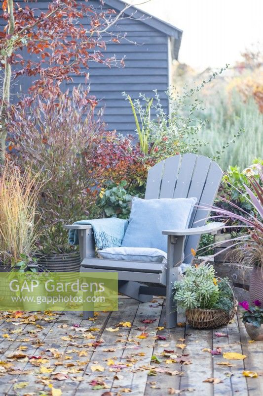 Recycled plastic chair with cushions and blanket with wicker trug containing Euphorbia, Carex and Chamaecyparis surrounded by mixed planting and leaves scattered across a wooden deck