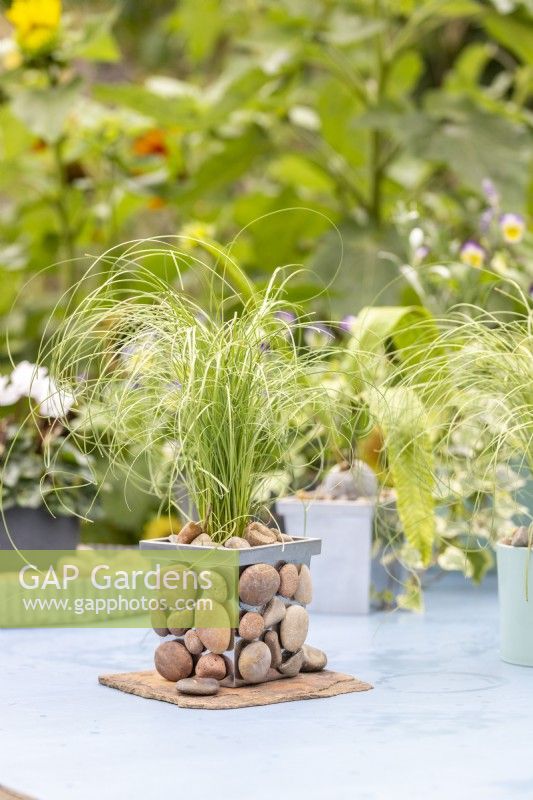 Small metal pot with stones glued to it planted with Carex 'Frosted Curls'