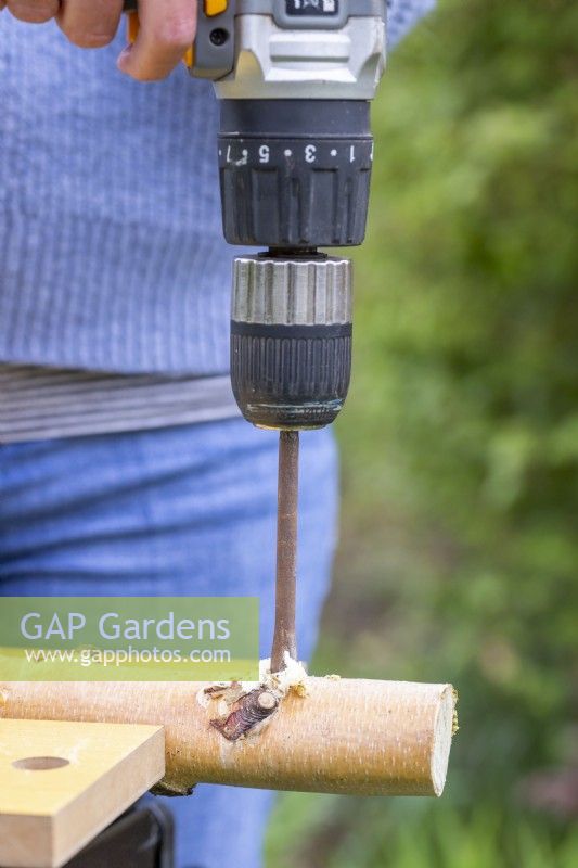 Woman drilling two holes through the top of the birch stick