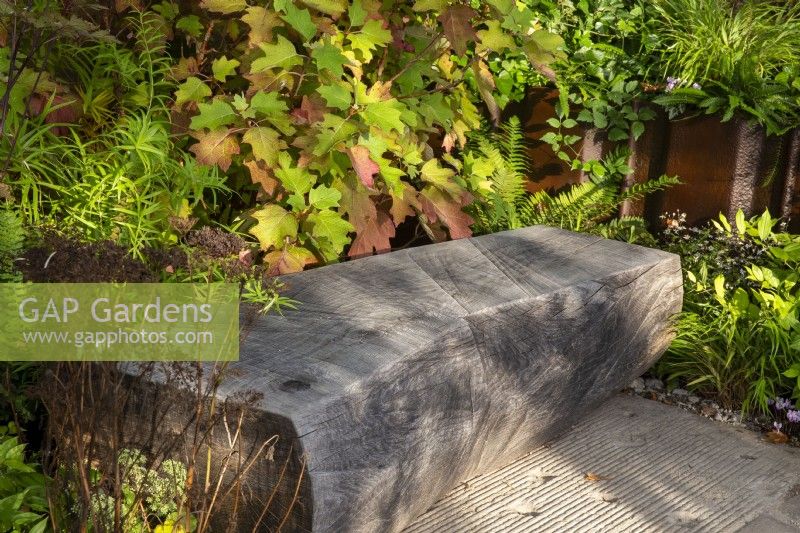 A carved wood tree trunk bench and planting of ferns and Hydrangea quercifolia