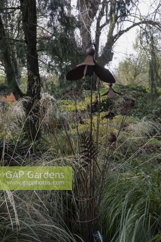 A metal, rusting sculpture of flowers and foliage including a large snowdrop and fern leaves amongst ornamental grasses with a variety of trees in the background. The Garden House, Yelverton. Autumn, November