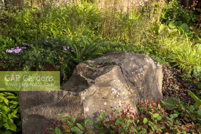 An old industrial urban wasteland redesigned into a new urban garden with mixed perennial planting of ferns, Cyclamen and Persicaria 'Indian Summer planted under a large stone boulder