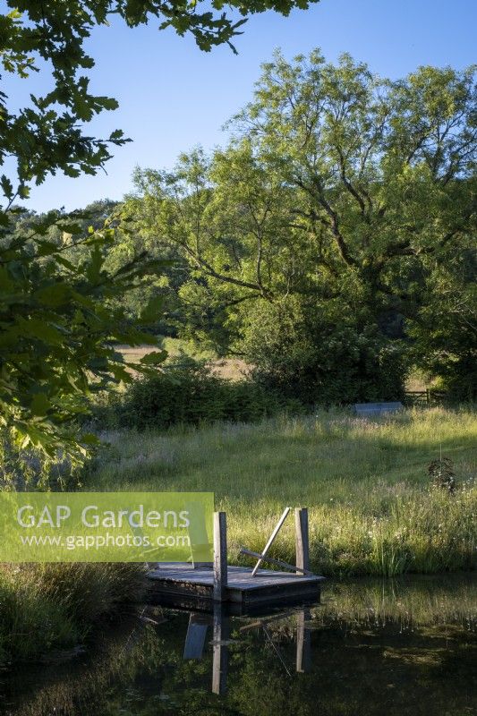 Large natural wildlife pond, edged with wildflowers and grasses, small landing stage with wooden rustic seats