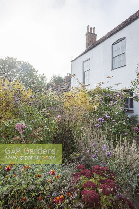 Period house and garden in autumn. Part of a sequence comparing the same scene in all 4 seasons. Borders have Tagetes 'Cinnabar', Sedum 'Autumn Joy' and Verbena bonariensis.
