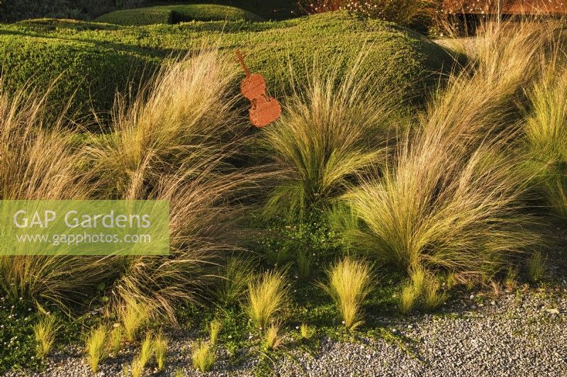 Mediterranean garden scene at the entrance gates decorated with violin sculptures. 
Grassland with Stipa tenuissima. 
Ground cover: Lippia nodiflora var. canescens.

Italy, Tuscan Maremma, Orbetello
Autumn season, October
