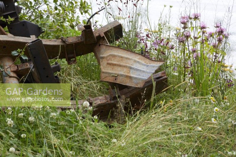 Twisted rusty metal machinery in wildlife garden with Monarda flowers. Summer.