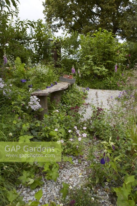 RHS Wildlife Garden Designers: Jo Thompson and Kate Bradbury. Plants include campanula, digitalis, geranium and Thalictrum delavayi 'Splendide White'. Summer.