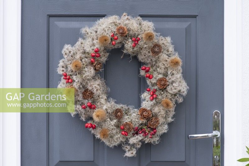 A Countryside Wreath. A florists' wire frame is wrapped in old man's beard, and decorated with rose hips, hawthorn berries, teasels and cedar seed cones.